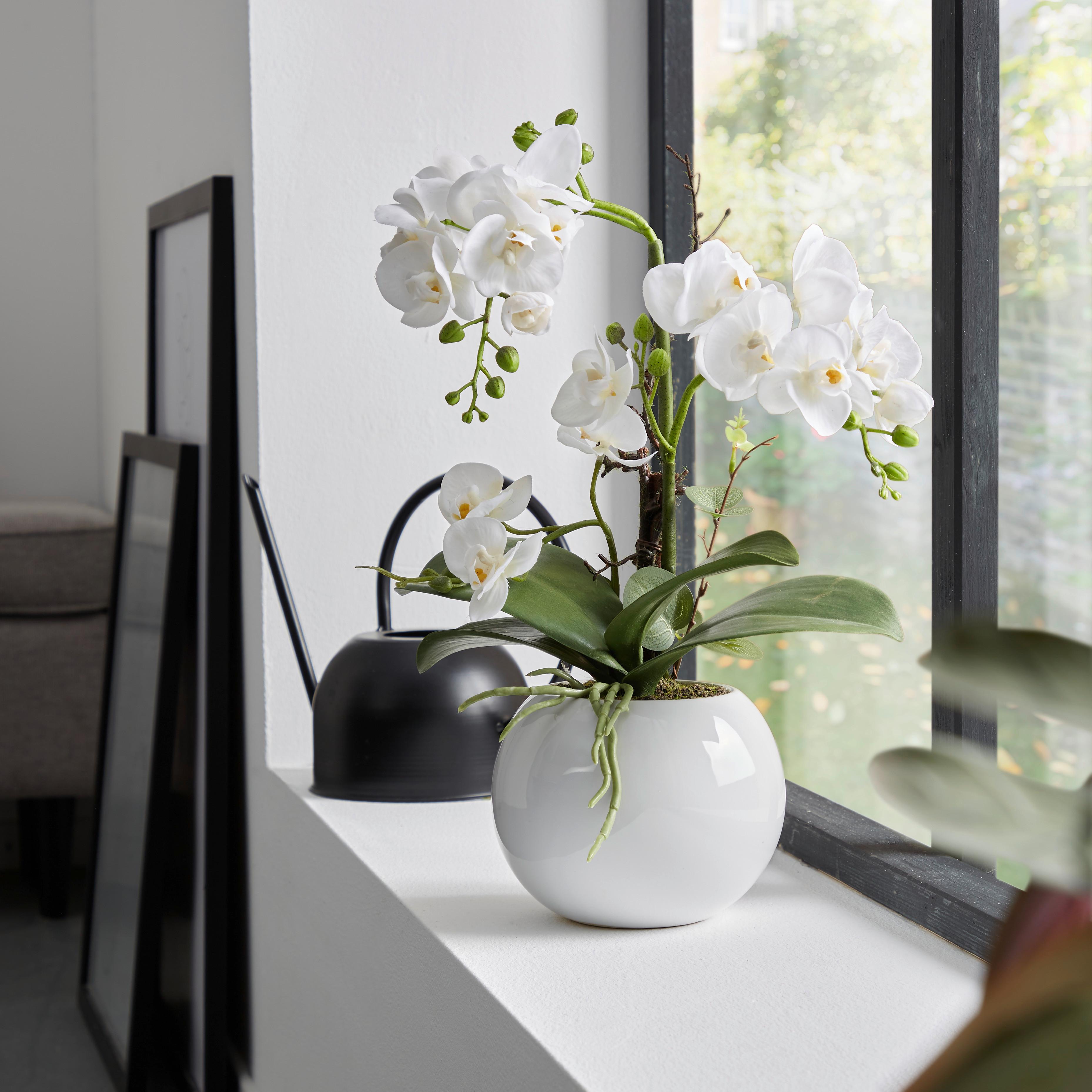 Kunstpflanze Orchidee Weiß/Grün L: 23 cm mit Topf - Weiß/Braun, KONVENTIONELL, Keramik/Kunststoff (23/47cm) - James Wood