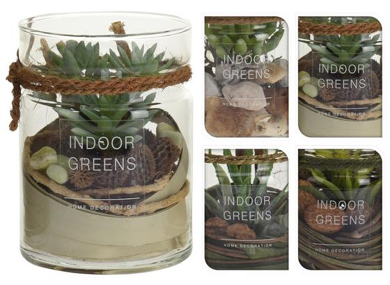 Sukkulente Filip - Transparent/Beige, LIFESTYLE, Glas/Kunststoff (10/13,5cm) Sukkulente Filip - Transparent/Beige, LIFESTYLE, Glas/Kunststoff (10/13,5cm)