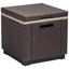 Kühlbox Cube - Braun, MODERN, Kunststoff (42/41/42cm) - Allibert Kühlbox Cube - Braun, MODERN, Kunststoff (42/41/42cm) - Allibert