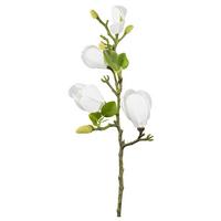 Dekoračná vetvička MAGNOLIA, V: 67 cm - biela/zelená, Konventionell, plast (67cm) - Mömax