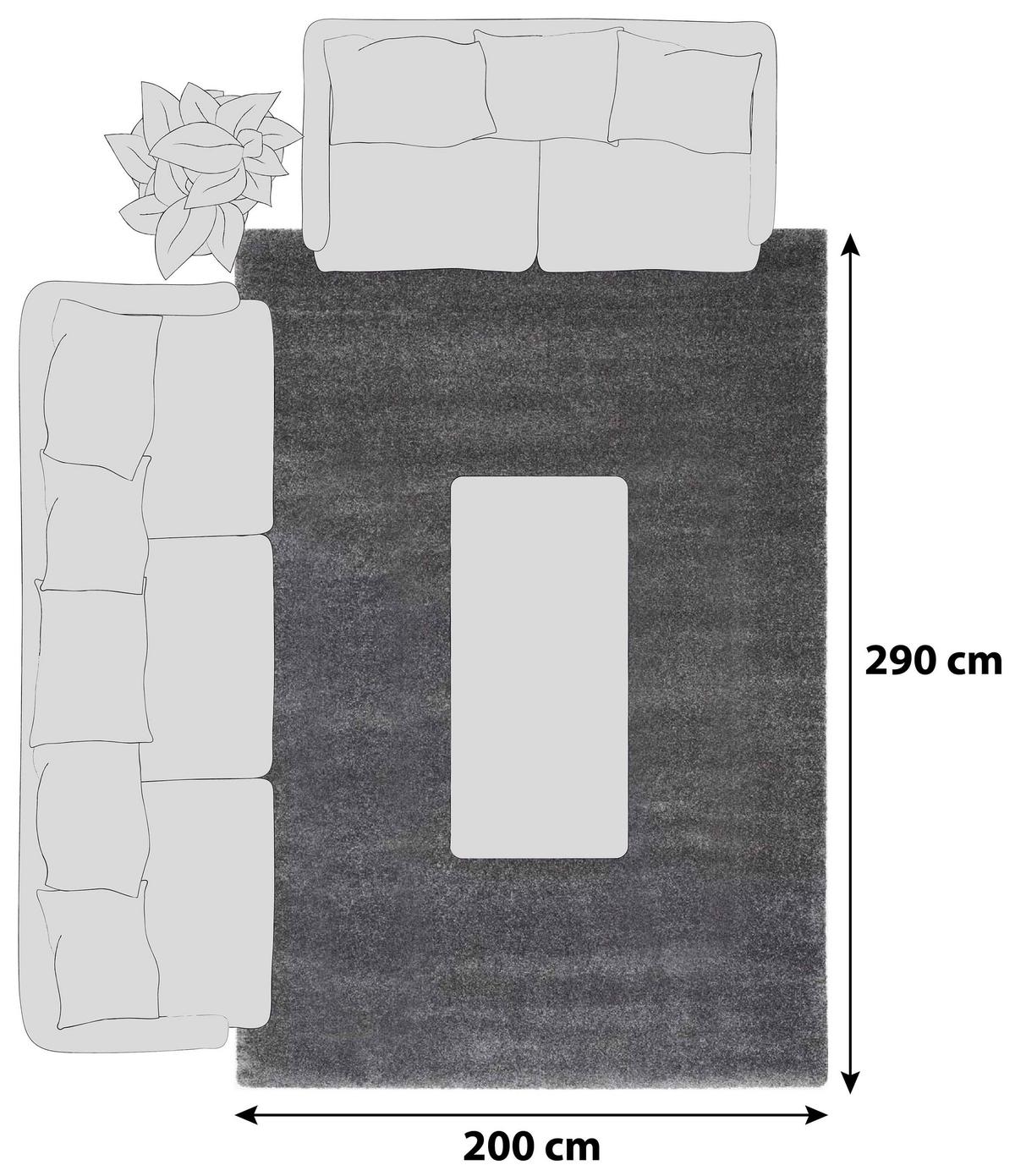 Hochflorteppich Dunkelgrau Bellevue 200x290 cm - Dunkelgrau, Basics, Textil (200/290cm) - Novel