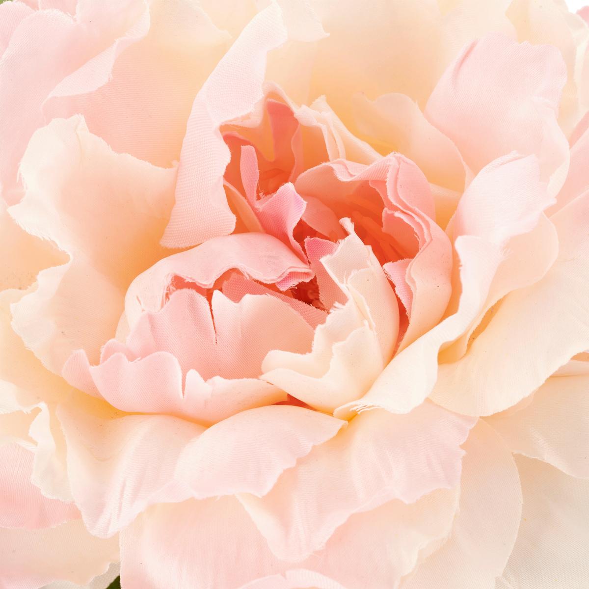 Umelý kvet pivonka PEONIE-MIX-BUND II -PAZ- - zelená/ružová, Basics, kov/textil (80cm) - Mömax