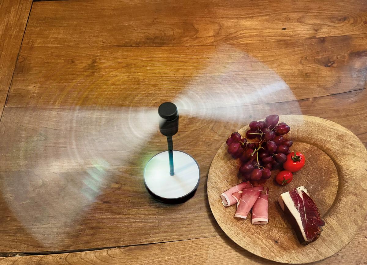 Wespenstopp/Fliegenwedler Schwarz - Schwarz, Basics, Kunststoff (36/28/11cm)