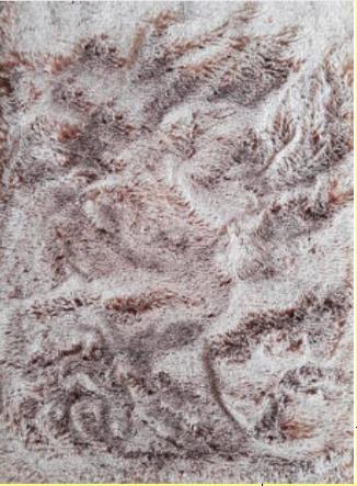 Fellteppich Angela Hellbraun 160x220 cm - Hellbraun/Braun, Basics, Textil (160/220cm) - Luca Bessoni