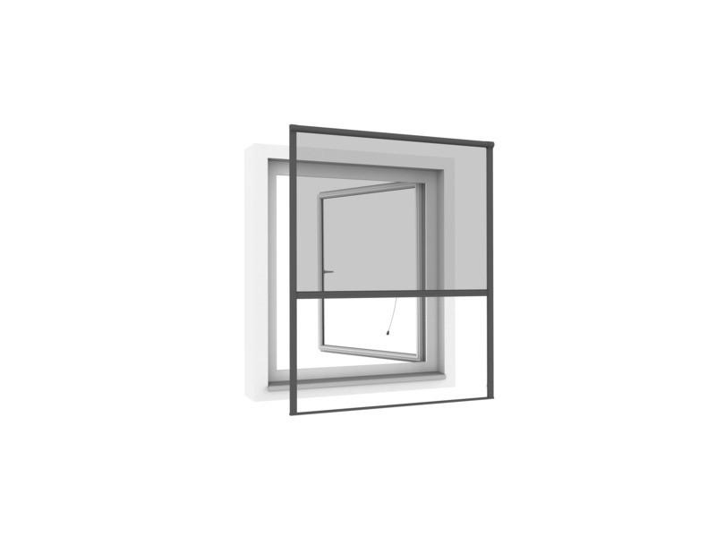 Rollo Is Plus Einhängerollo Anthraz. - Anthrazit, Basics (100/160cm)