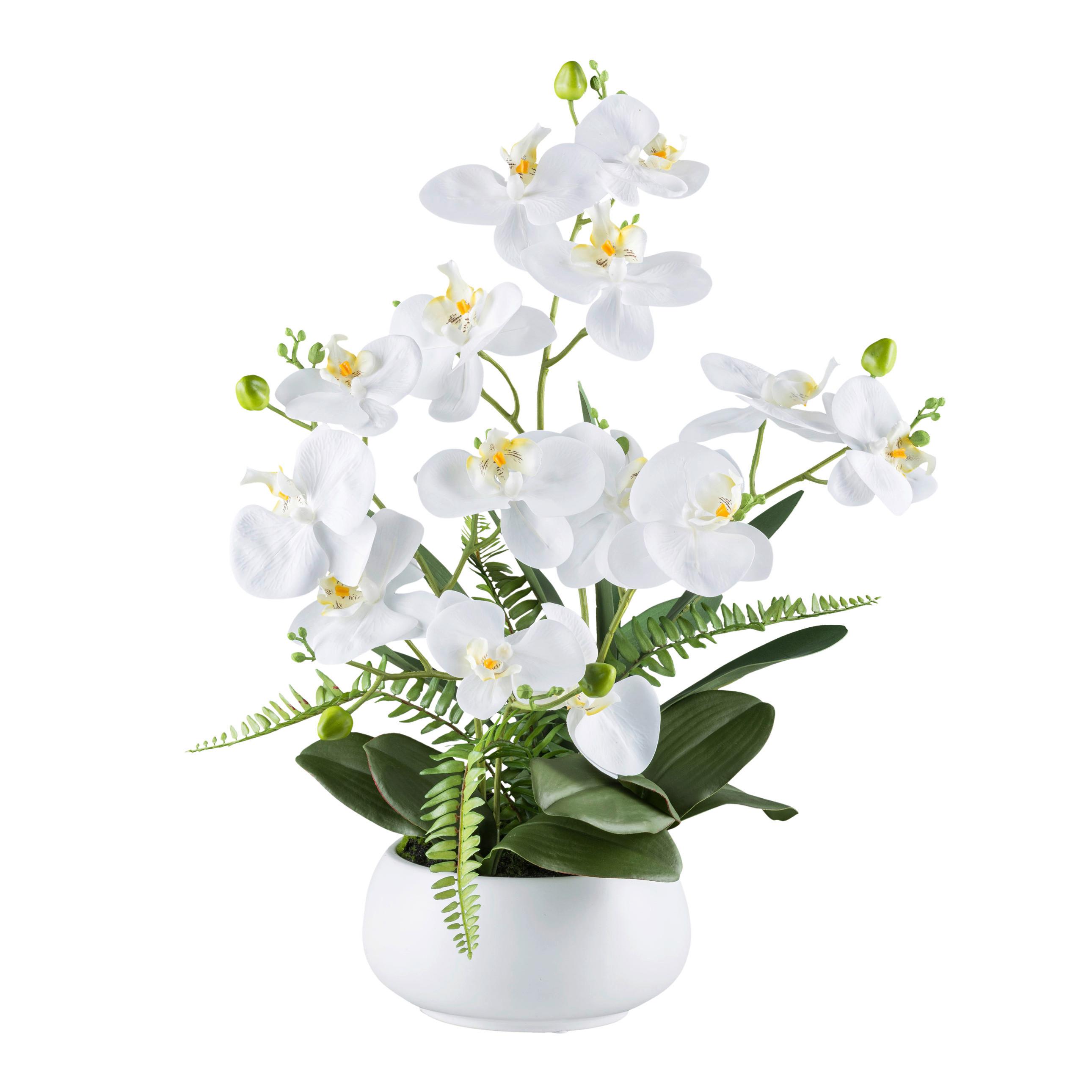 Kunstpflanze Orchideen Grün/Weiß, 55 cm - Weiß/Grün, Design, Keramik/Kunststoff (55cm) - P & B