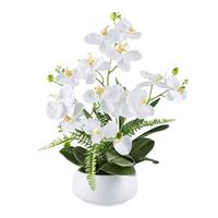Kunstpflanze Orchideen Grün/Weiß, 55 cm - Weiß/Grün, Design, Keramik/Kunststoff (55cm) - P & B