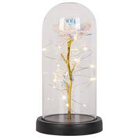 DEKORAČNÍ LED SVÍTIDLO FLOWI - černá/průhledné, Moderní, plast (11cm) - Mömax