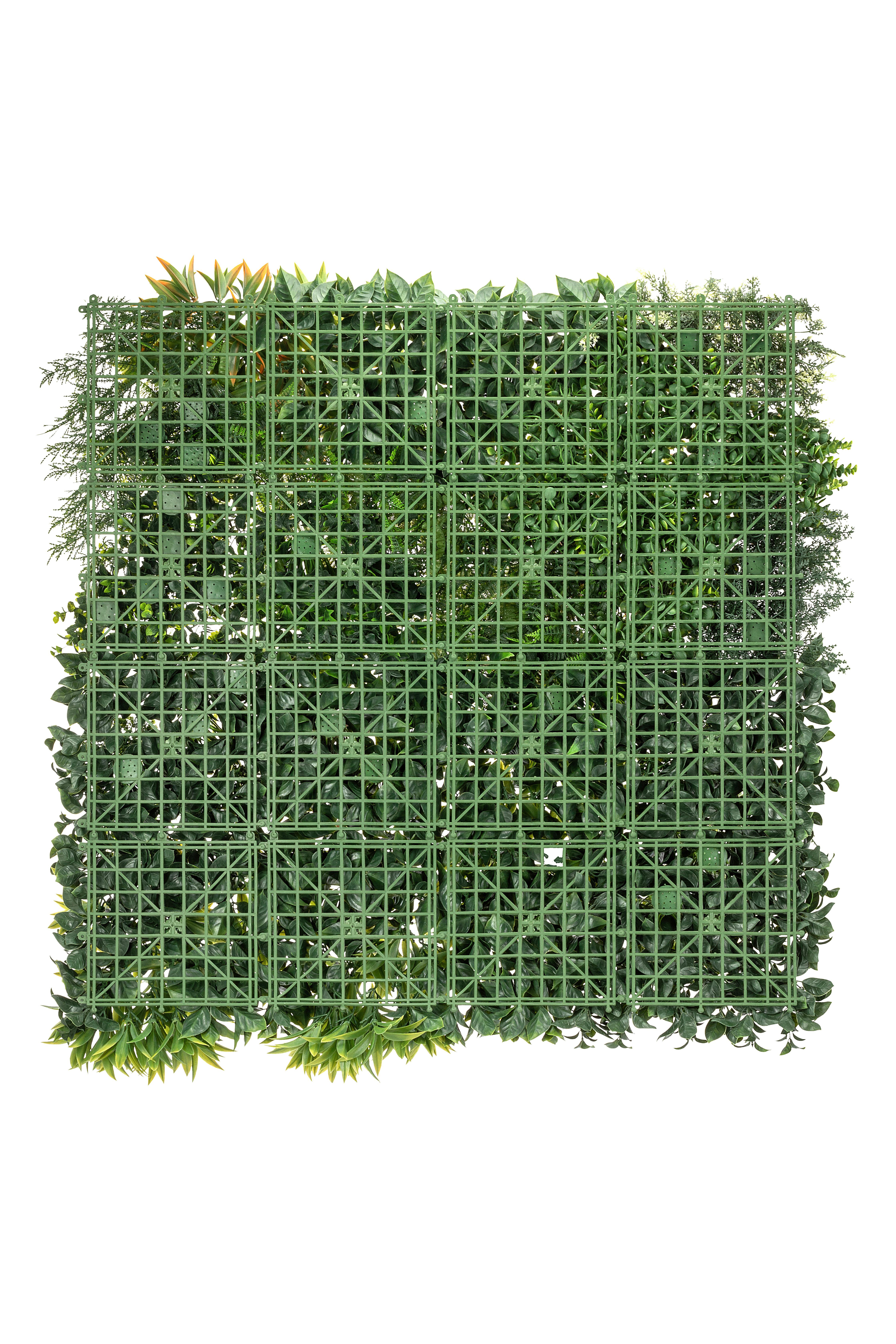 Dekogras Sabrina - Grün, KONVENTIONELL, Kunststoff (100/100cm) - Luca Bessoni