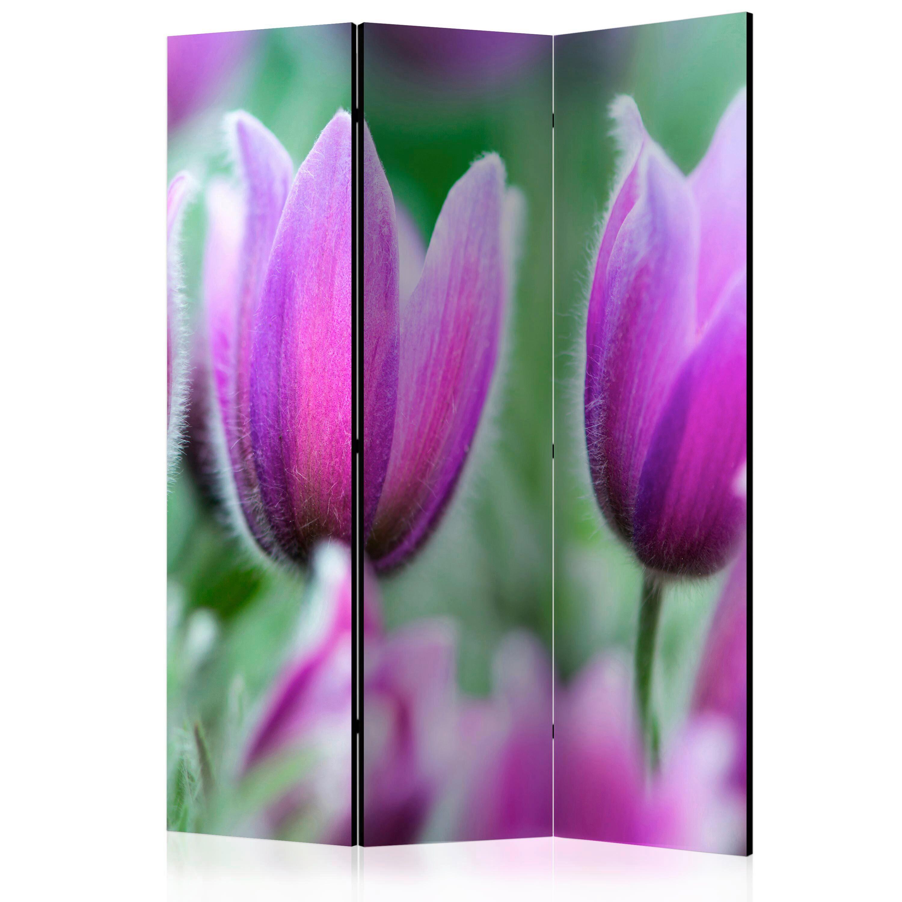 Paravent Grün Violett B: 135 Cm