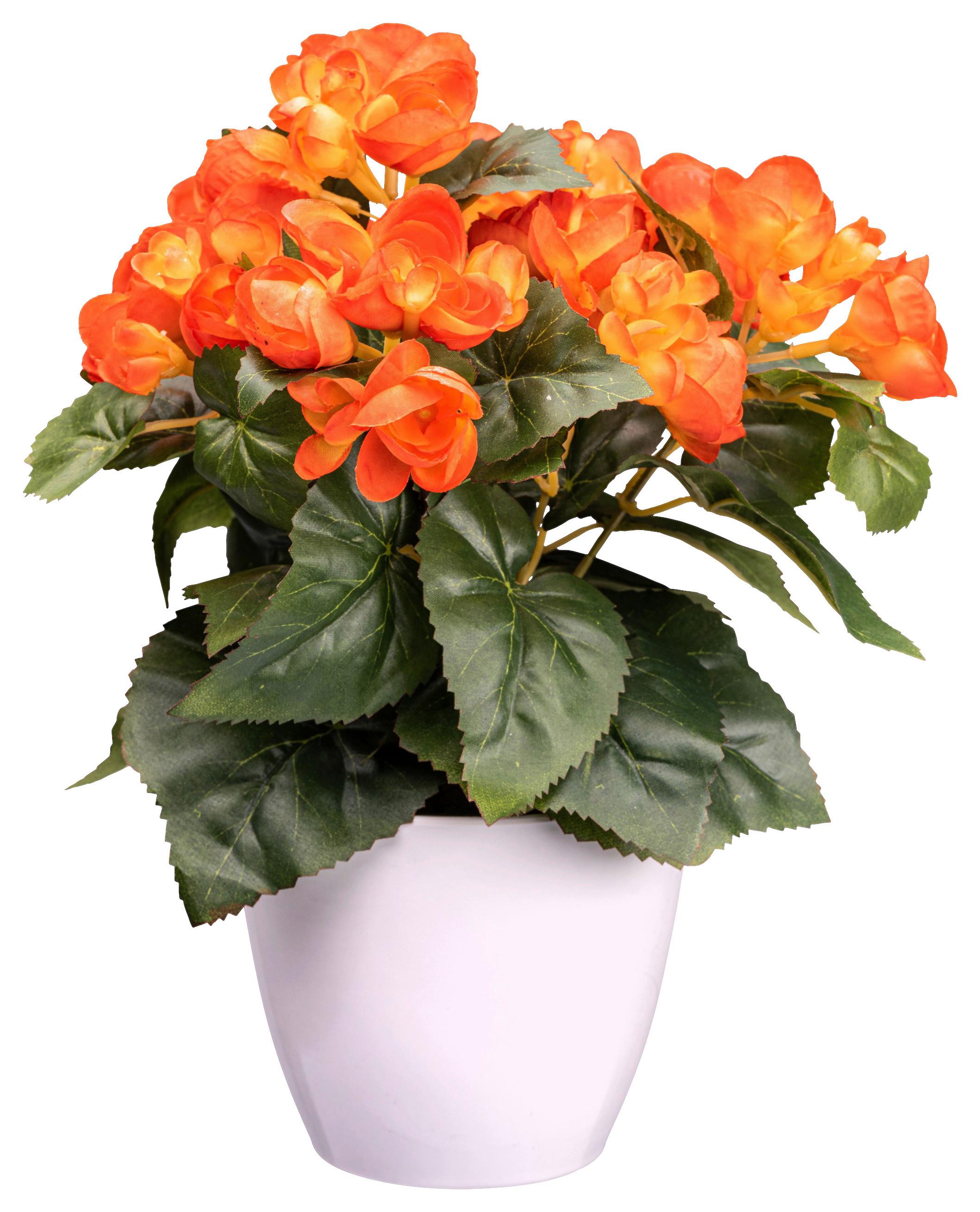 Kunstpflanze Blühpflanzen Orange/Grün/Weiß, 28 cm - Orange/Weiß, Design, Kunststoff (28cm) - P & B