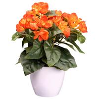Kunstpflanze Blühpflanzen Orange/Grün/Weiß, 28 cm - Orange/Weiß, Design, Kunststoff (28cm) - P & B