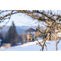 Vogelfuttersil Tiny House BxHxT: 16,5x17,5x16,5 cm - Transparent, Basics, Kunststoff (16,5/17,5/16,5cm) - Windhager