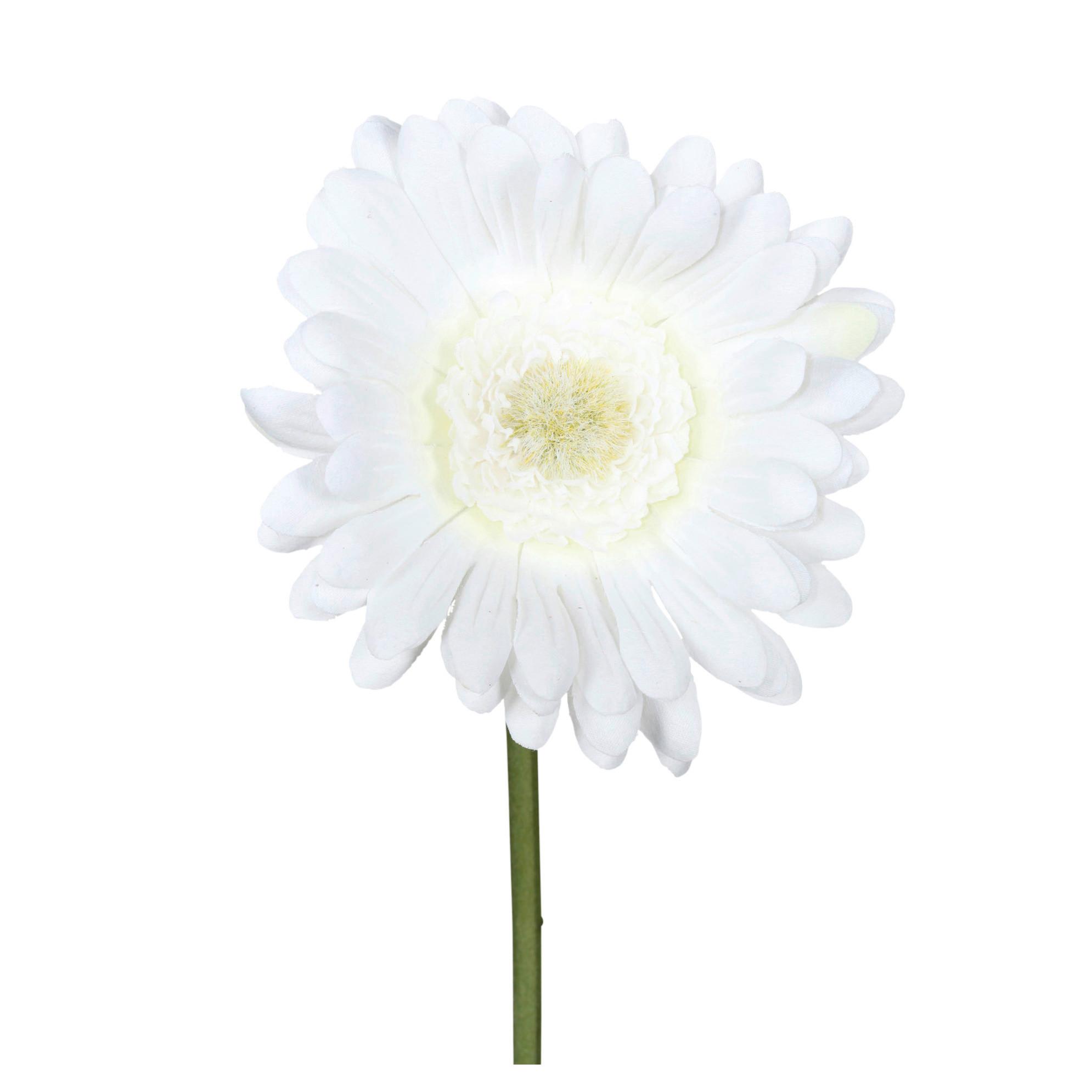 Umélá květina GERBERA, Výška: 50 cm - bílá/zelená, Konvenční, plast (50cm) - Mömax