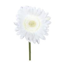 Umélá květina GERBERA, Výška: 50 cm - bílá/zelená, Konvenční, plast (50cm) - Mömax