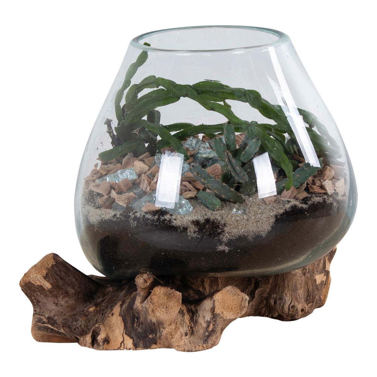 Vase Transparent Teakfarben B: 18cm - Transparent/Teakfarben, Design, Glas/Holz (18/20/15cm)