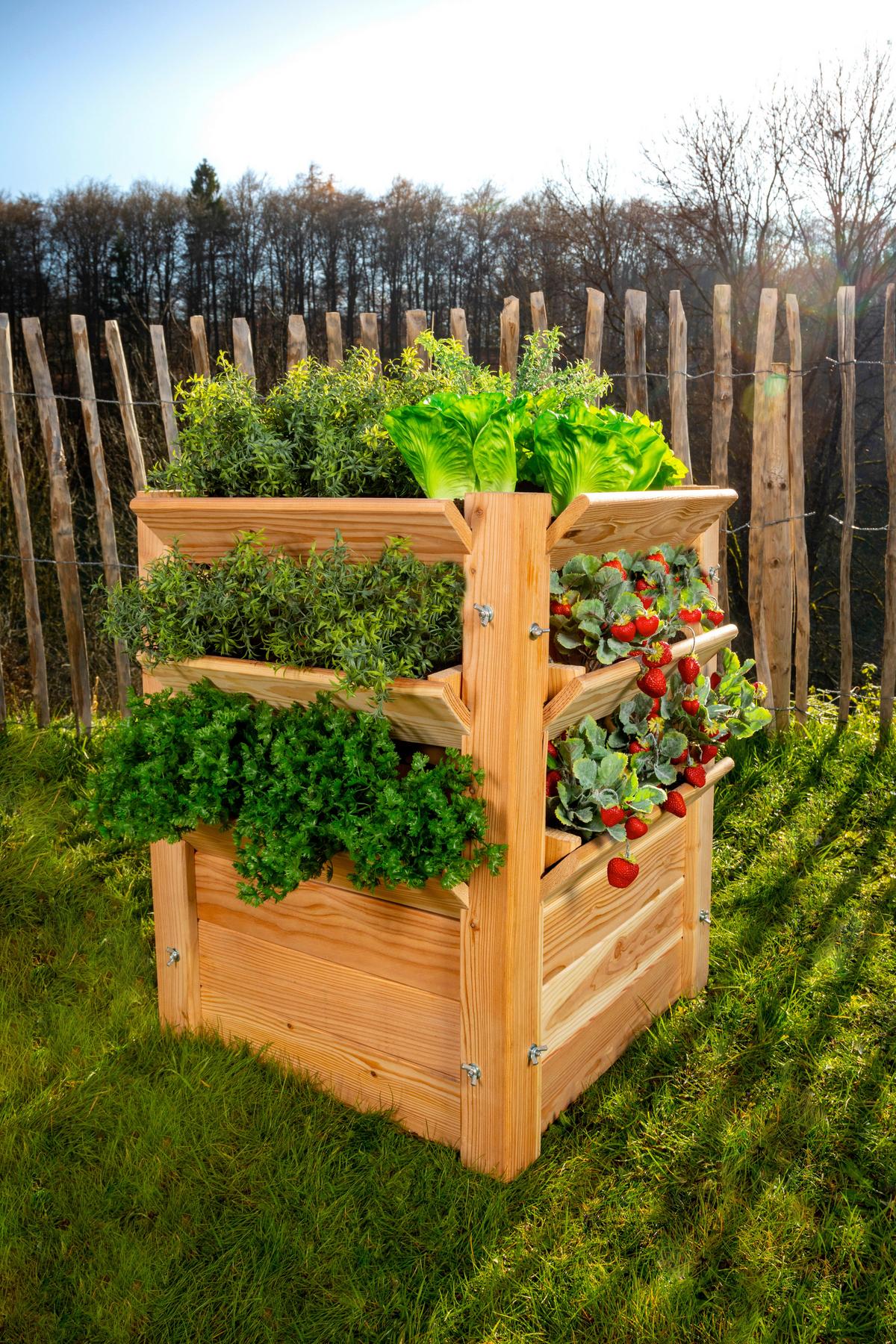 Hochbeet Echtholz Lärche 65x73x65 cm - Lärchefarben, Basics, Holz (65/73/65cm)