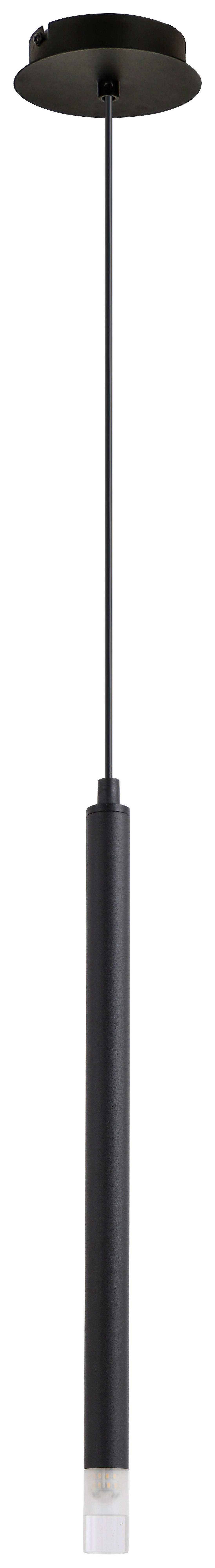 ZÁVESNÉ SVIETIDLO SIMPL - číra/čierna, Modern, kov/plast (12cm) - Mömax