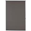 Tageslichtrollo Helene Halbtransparent 45x150 cm - Grau, MODERN, Textil (45/150cm) - Luca Bessoni