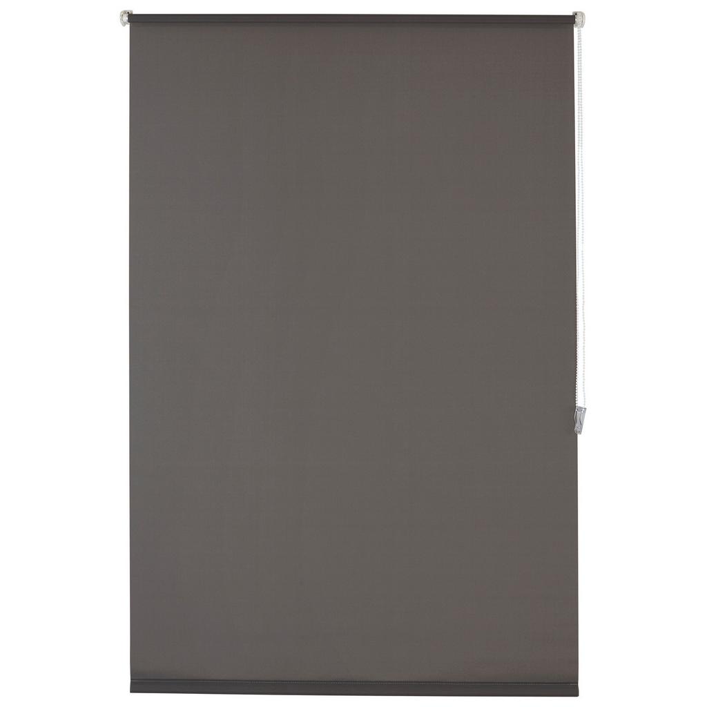 Tageslichtrollo Helene Halbtransparent 60x150 cm