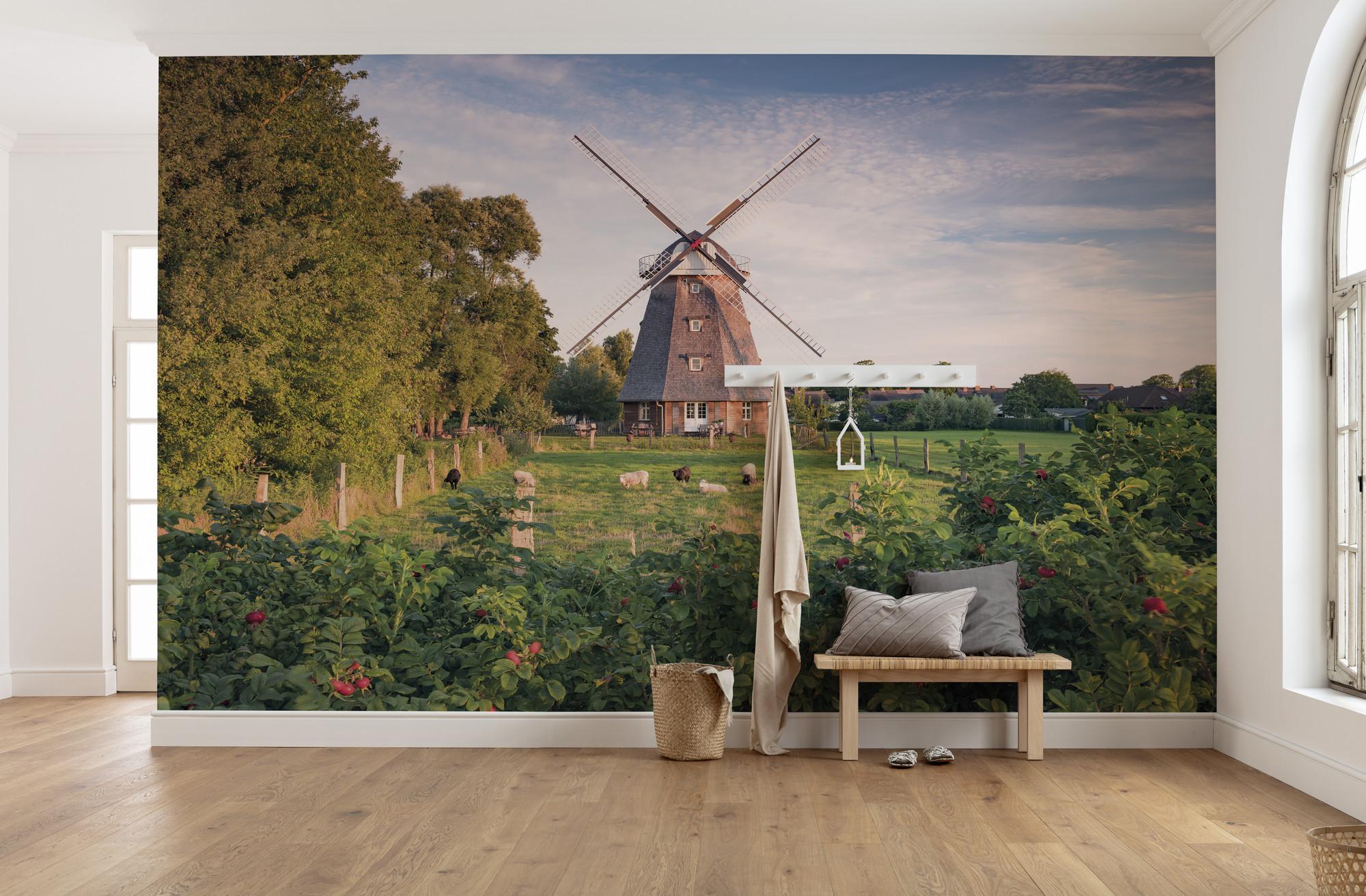 Fototapete Tage Wie Diese - Multicolor, Trend, Textil (450/280cm)