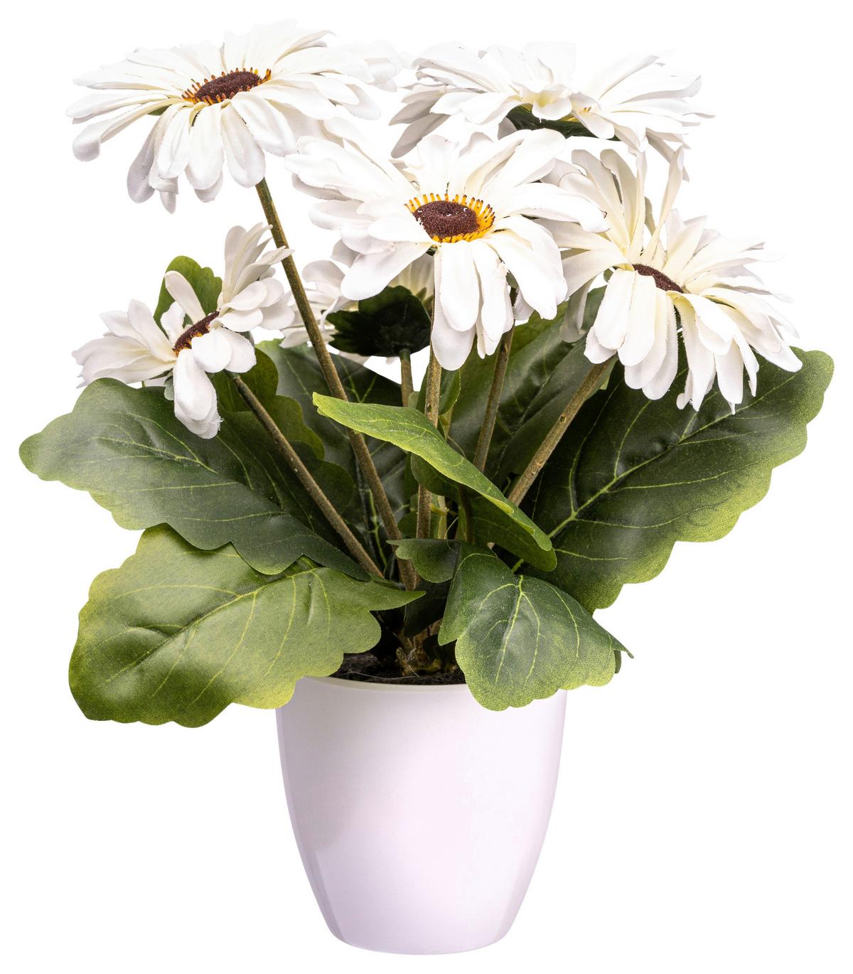 UMĚLÁ ROSTLINA GERBERABUSCH I - oranžová/bílá, Konvenční, plast (27cm) - Modern Living