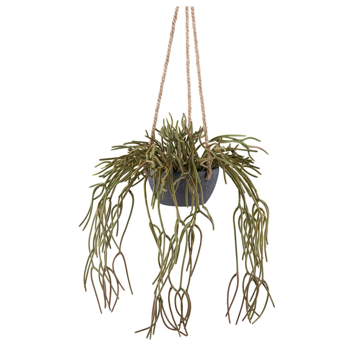 Kunstpflanze Sukkulenten Grün/grau, 40 Cm - Grau/Grün, Design, Kunststoff (40cm) - P & B