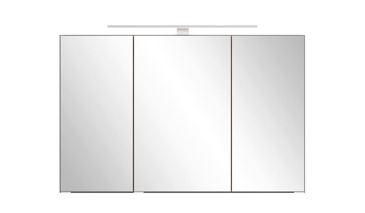 SPIEGELSCHRANK Verona Grau B: 100cm - Wildeiche/Grau, Trend, Glas/Holzwerkstoff (100/64/20cm) - Held
