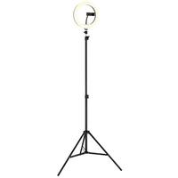 LED-STEHLEUCHTE Delgado - Opal/Schwarz, Design, Kunststoff/Metall (63/210cm) - Globo