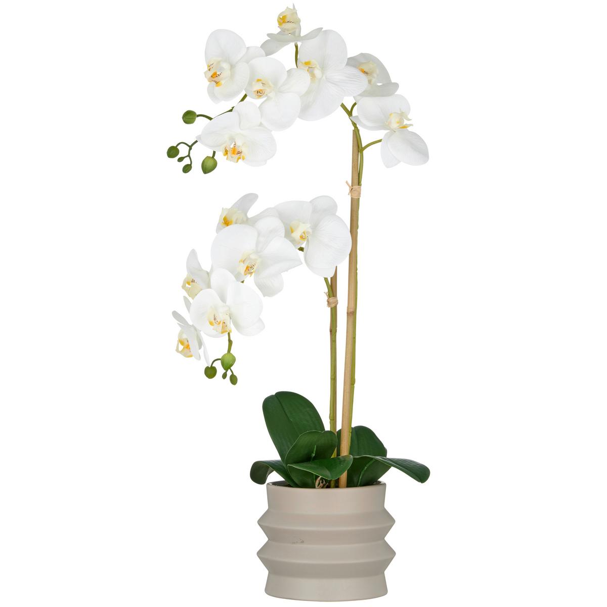 Kunstpflanze Weiß Grün Sandfarben B: 19 cm - Sandfarben/Greige, Basics, Keramik/Kunststoff (19/56/19cm) - P & B