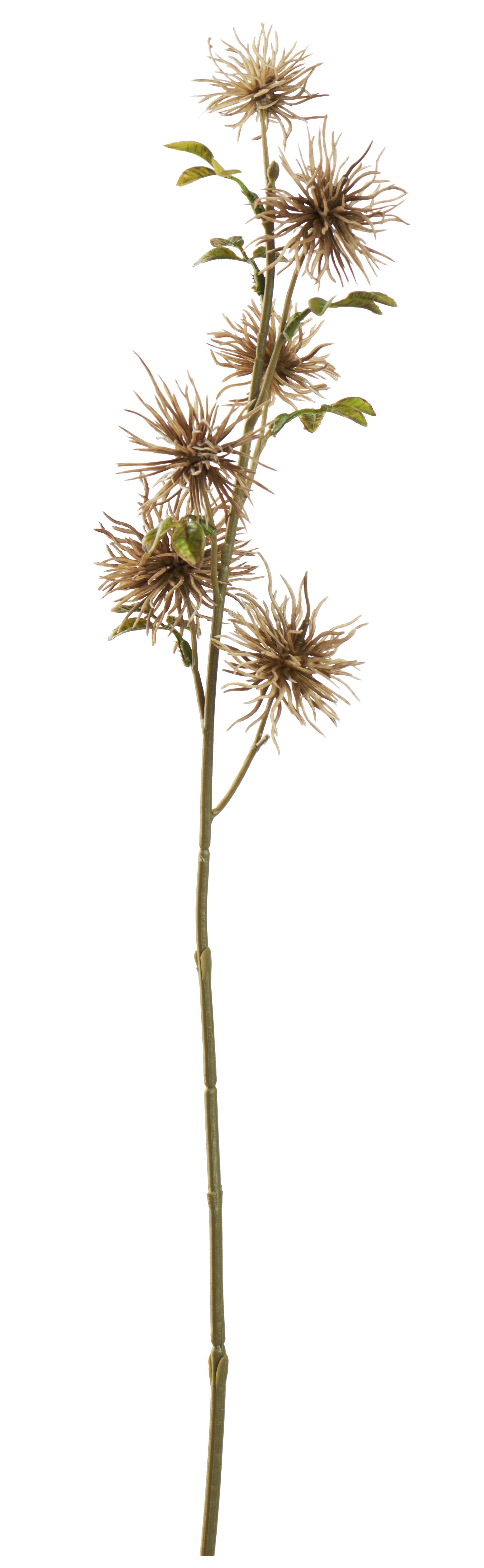 Kunstpflanze Hamameliszweig Braun L: 51 cm, Adele