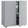 Aktenschrank Lona Grau Dekor B: 70 Cm - Grau, Basics, Holzwerkstoff (70/74/39cm) - MID.YOU