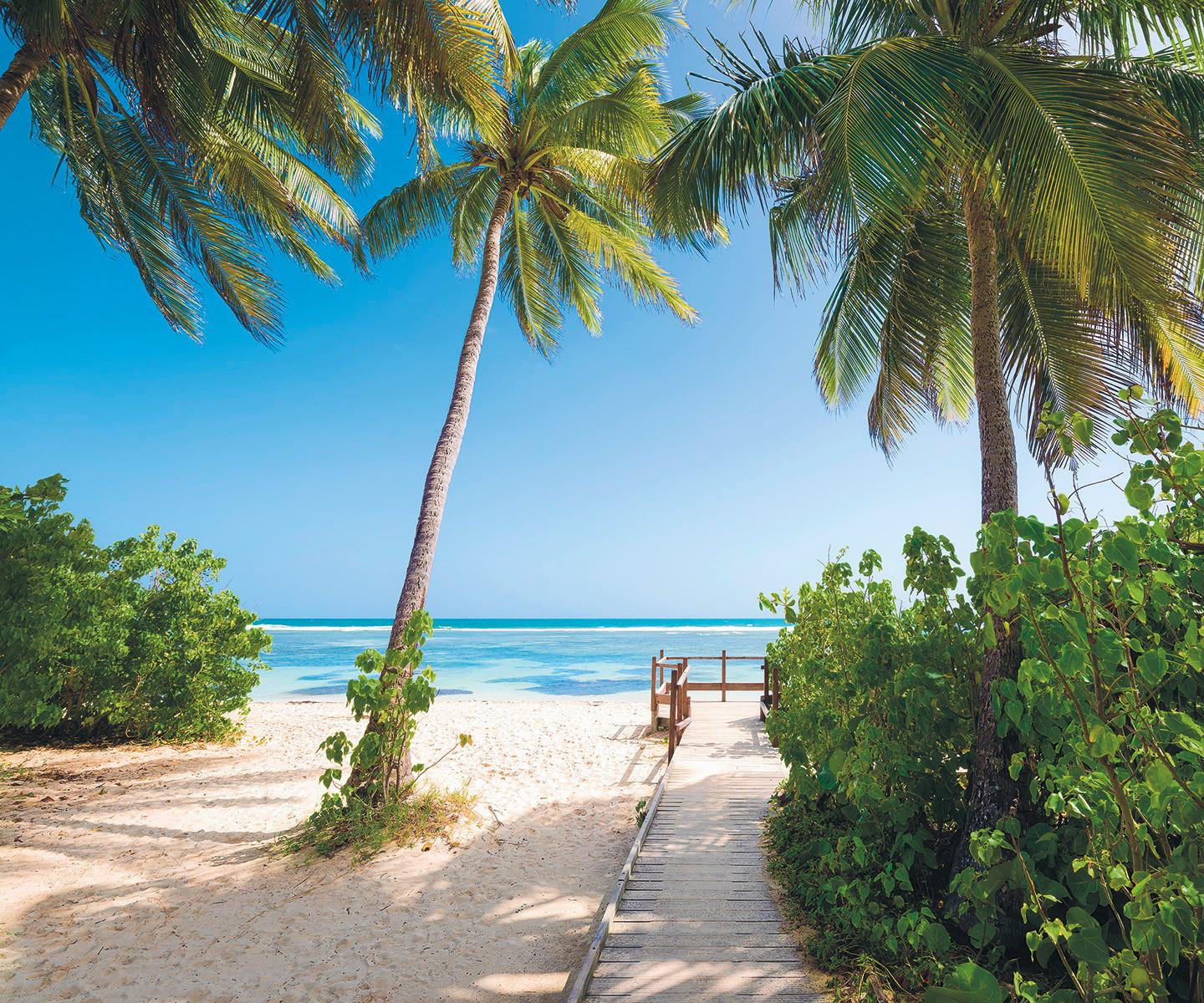 Vliestapete Sh088-Vd3 Palmy Beach - Natur (300/250cm)