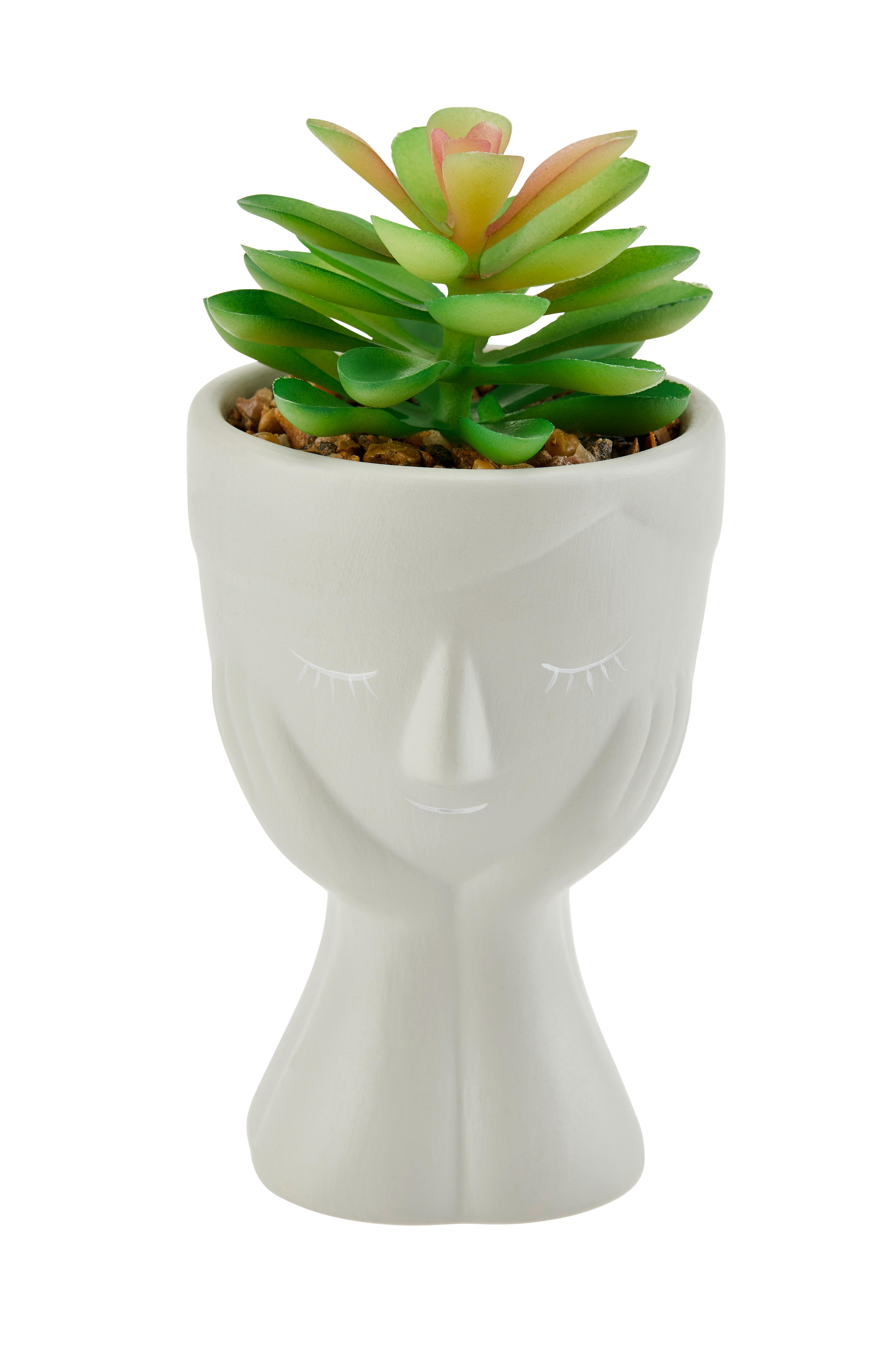 Dekofigur Pflanze H: 14 cm Keramik/Kunststoff für Indoor - Grau/Grün, MODERN, Keramik/Kunststoff (6,5/14cm) - Luca Bessoni