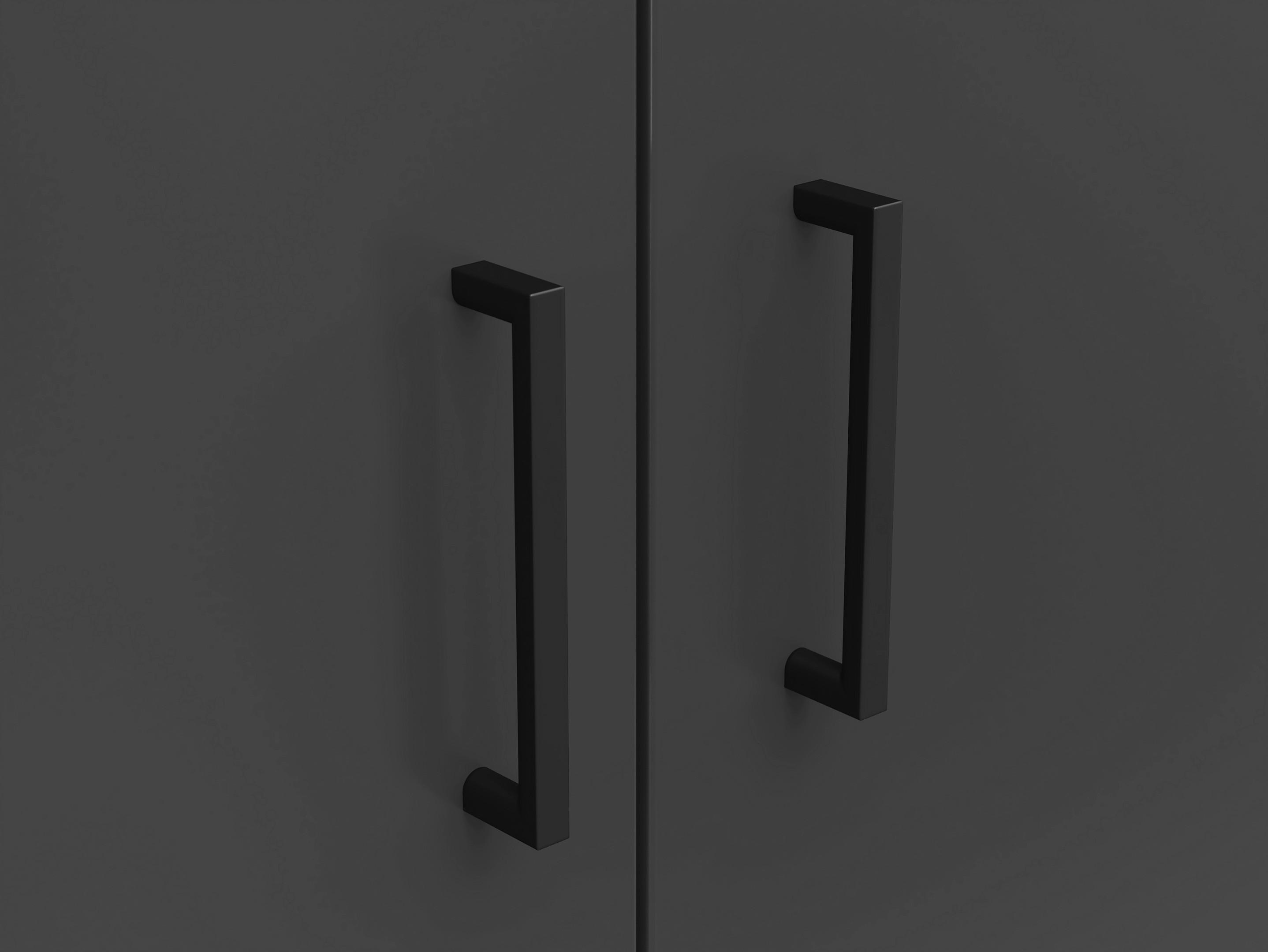 Skriňa CABINET š: 80 cm - čierna/grafitová, Modern, kompozitné drevo/plast (80/195/40cm)