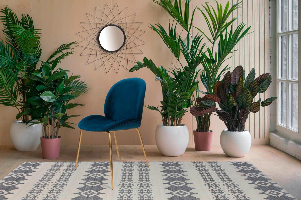 Sada židlí modrá - modrá/barvy mosazi, Moderní, kov/plast (47/90/59cm) - Kayoom