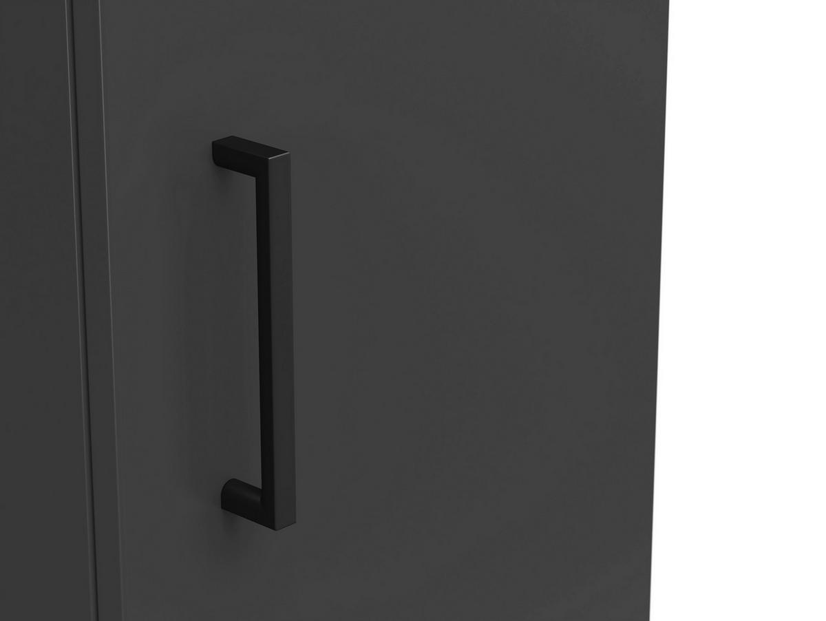 Skriňa Cabinet š: 30 cm - čierna/grafitová, Modern, kompozitné drevo/plast (30/195/40cm)