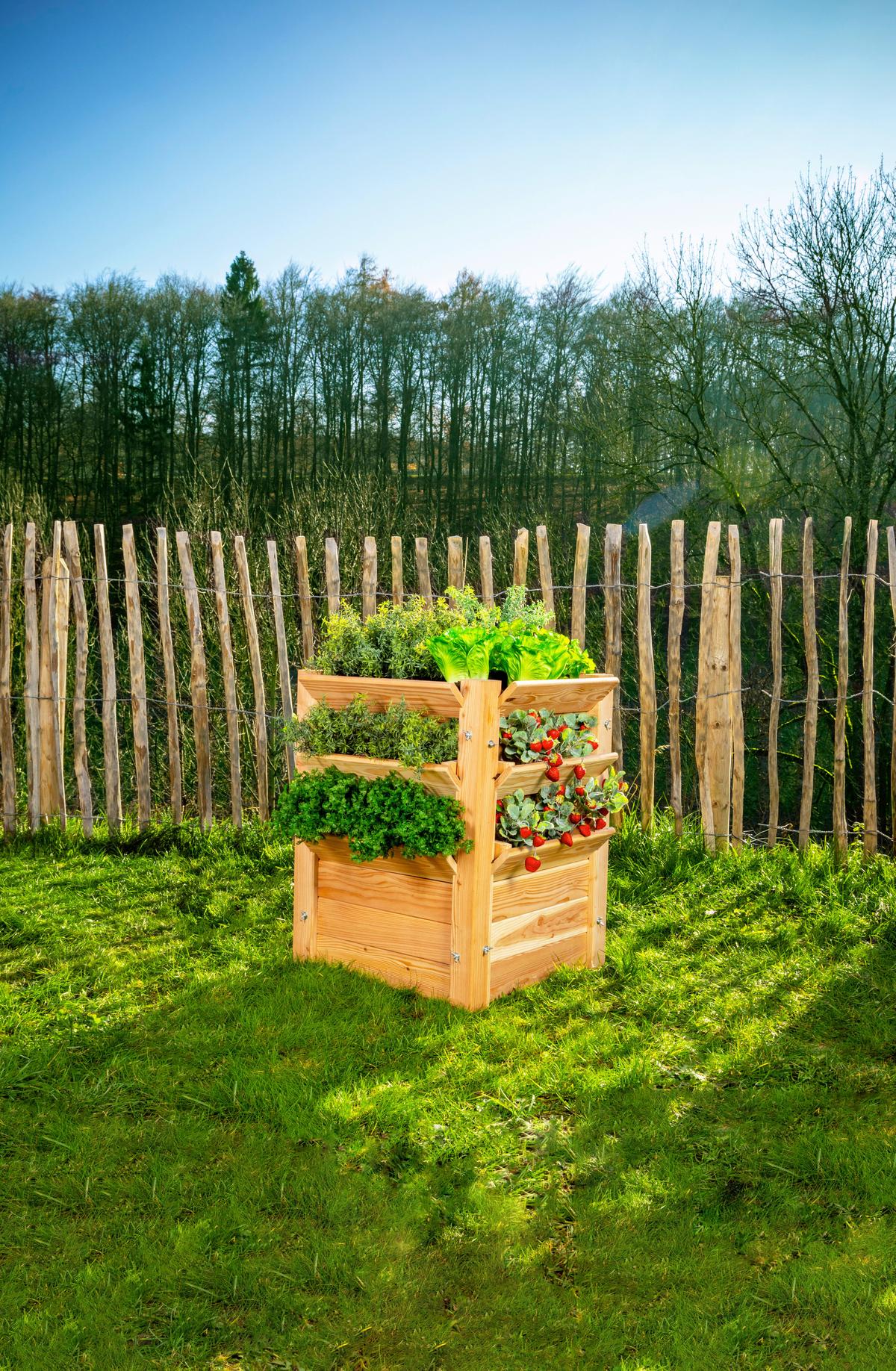 Hochbeet Echtholz Lärche 65x73x65 cm - Lärchefarben, Basics, Holz (65/73/65cm)