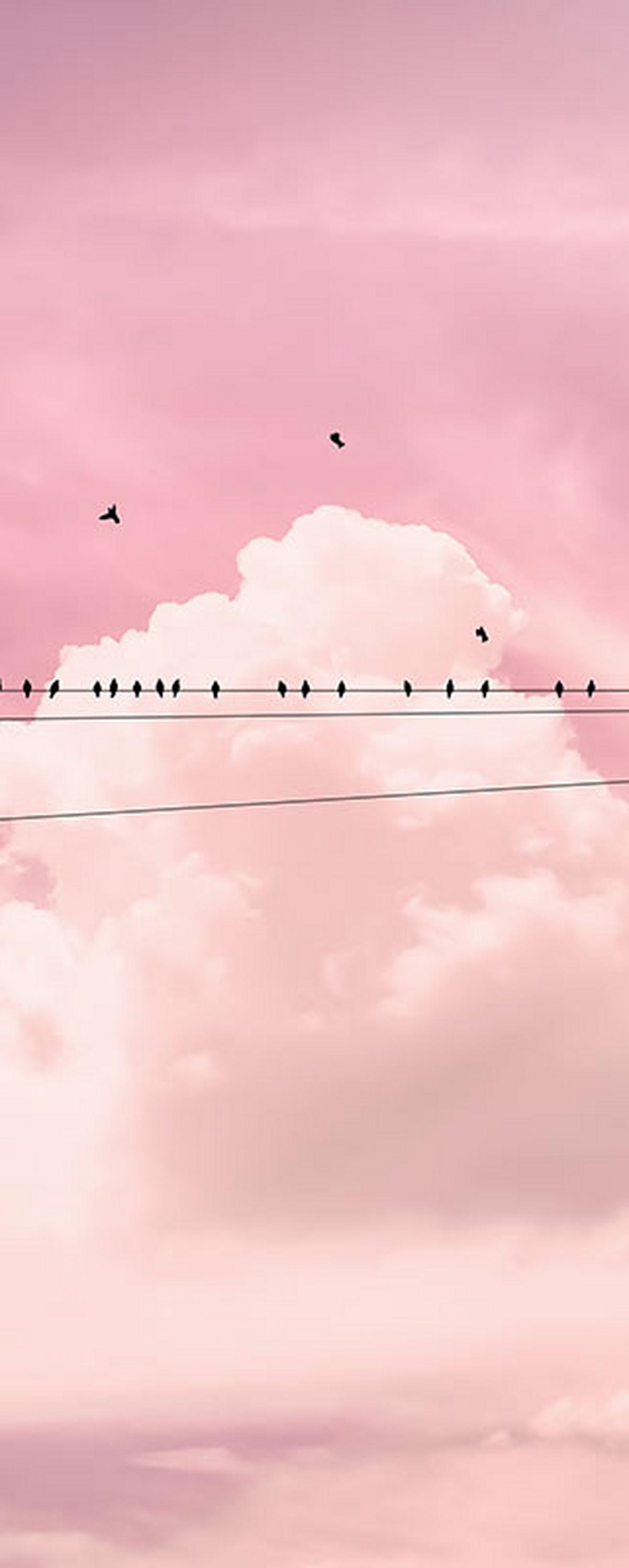 Vliestapete Cloud Wire Panel - Rosa, Basics (100/250cm) - Komar