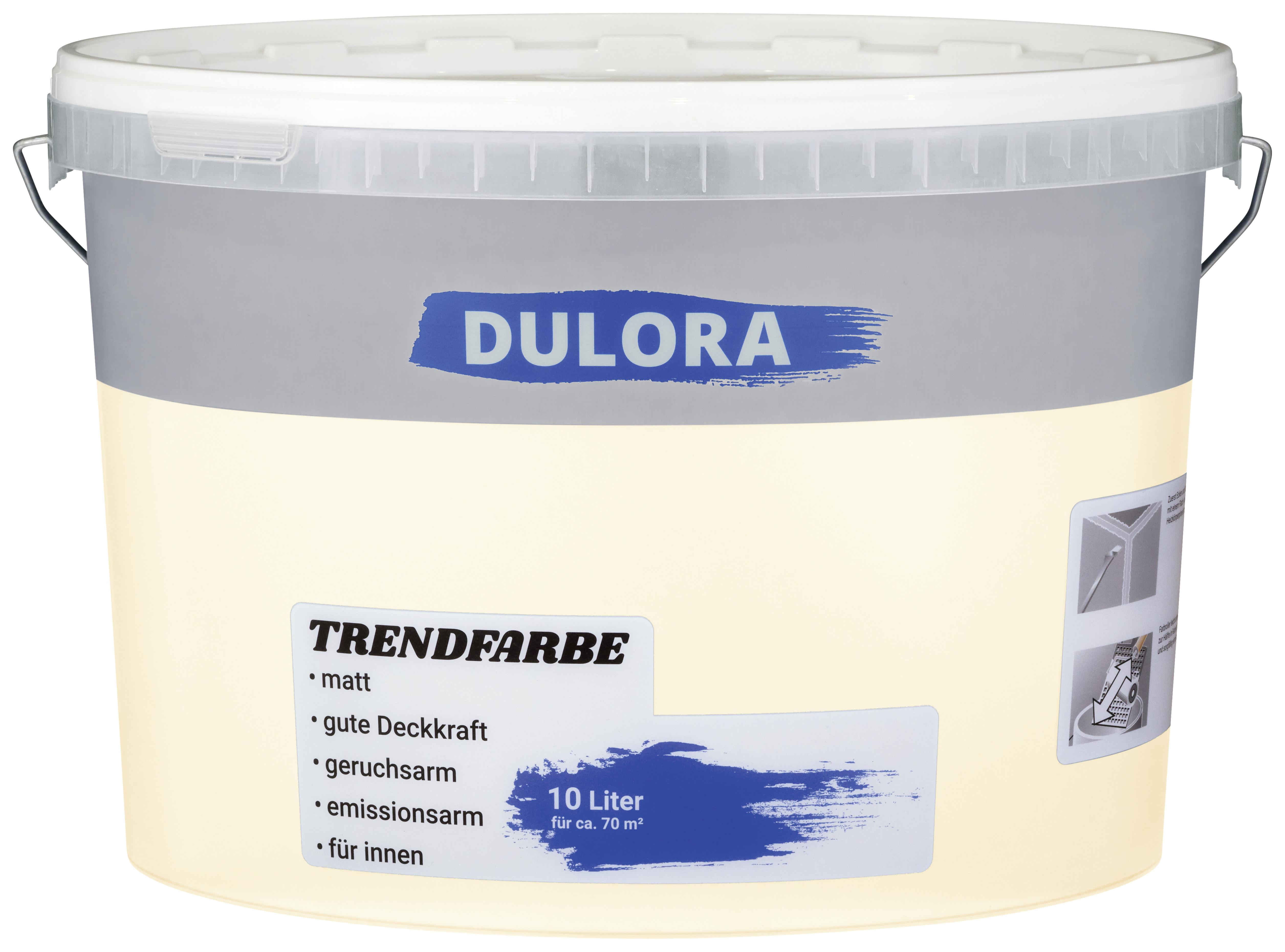 Wandfarbe Dulora 10 Liter Apricot