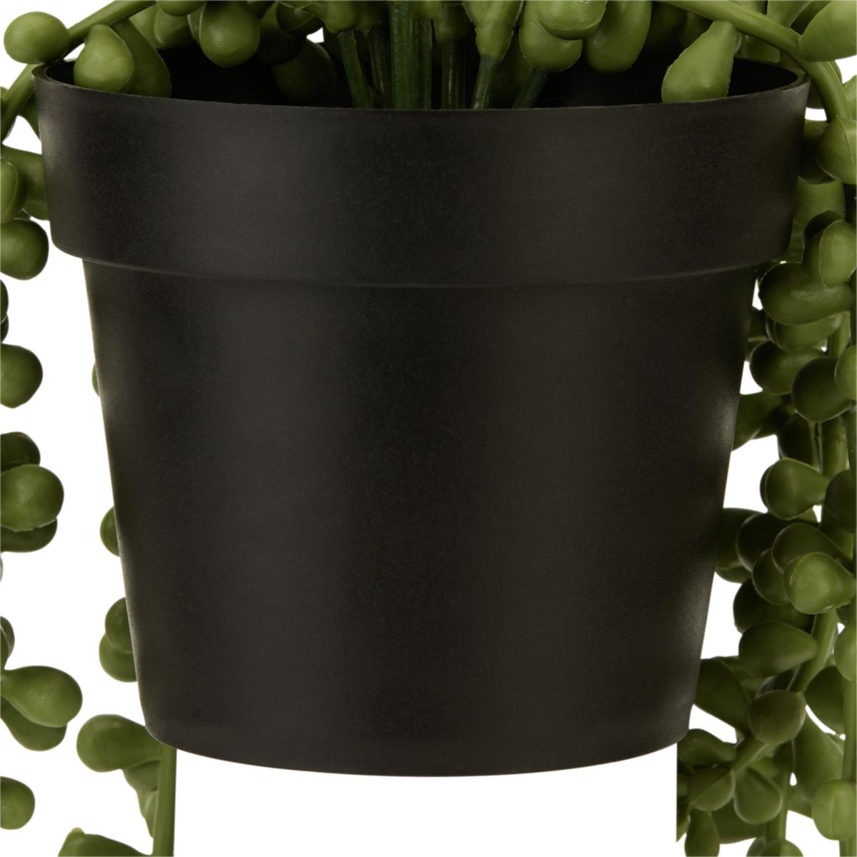 Kunstpflanze Sedumhänger Grün L: 34 cm, Casimir - Schwarz/Grün, Basics, Kunststoff (34cm) - Ondega