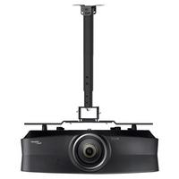 Tv- Wandhalterung Pdh Anthrazit B: 22 Cm - Anthrazit, MODERN, Metall (22/52/24cm) - MID.YOU