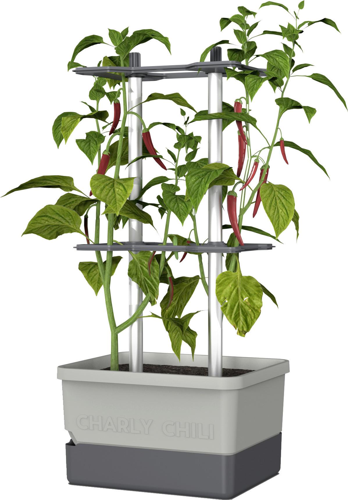 Pflanztopf grau/Hellgrau - Hellgrau/Grau, Basics, Kunststoff (34,5/69/27,5cm) - Gusta Garden