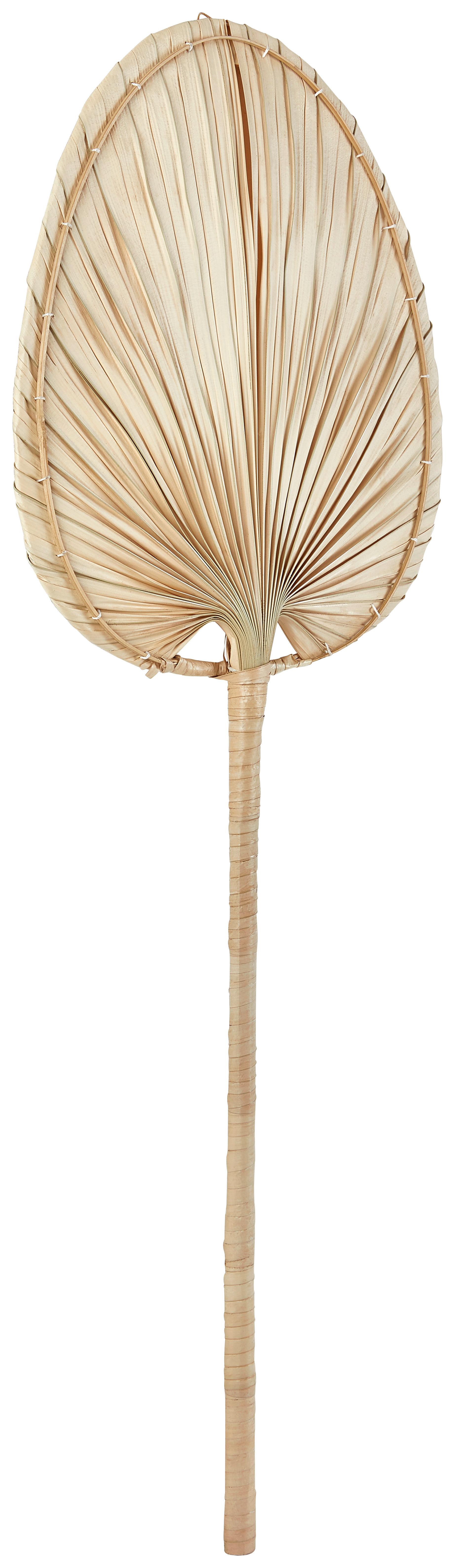 Palmwede Bambus Naturfarben H: 100 cm Flaviana - Naturfarben, Basics, Naturmaterialien - Luca Bessoni