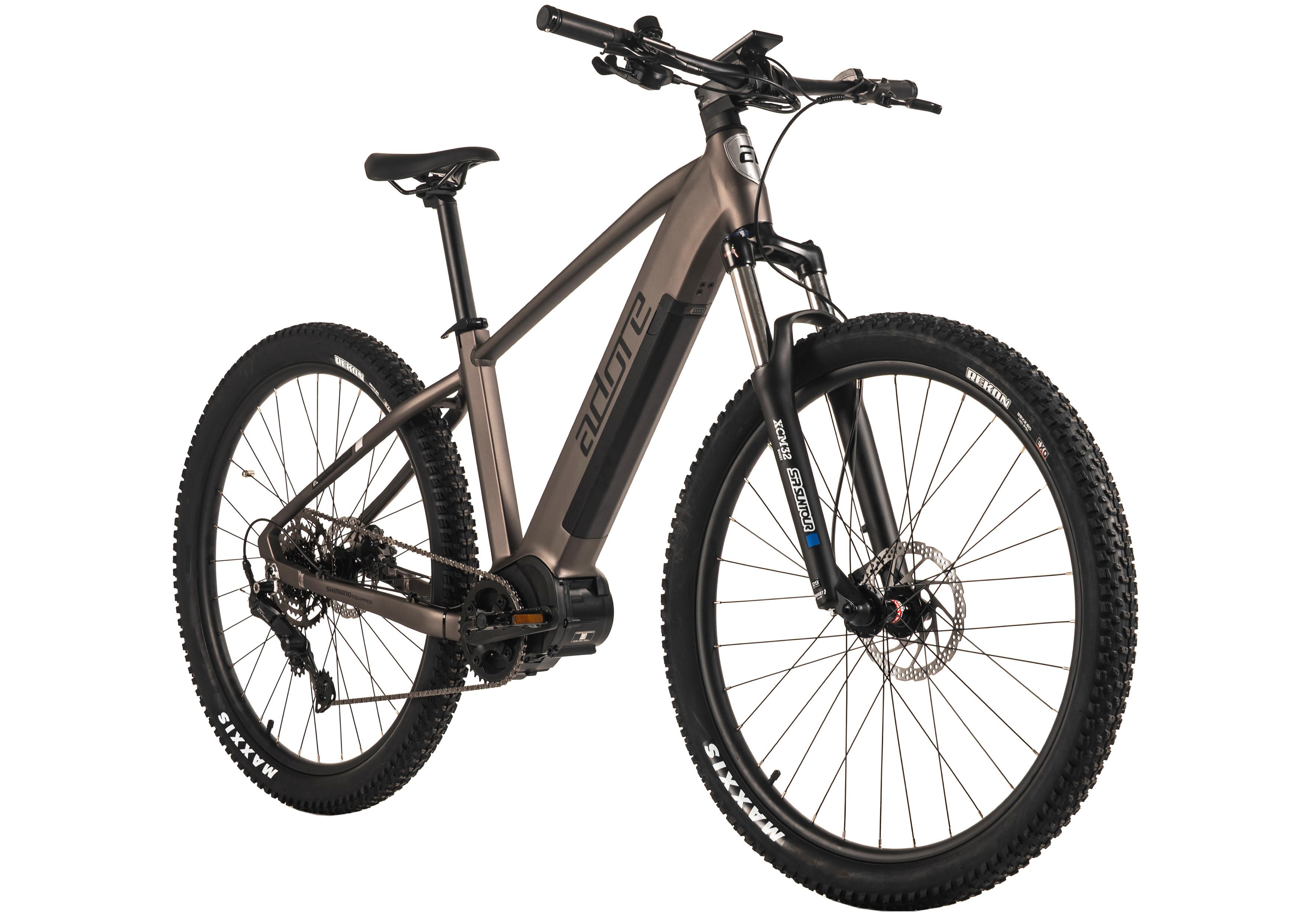E-mountainbike Hardtail 29'' Platingrau Matt - Grau, LIFESTYLE, Metall (180/70/100cm)