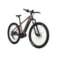 E-Mountainbike Hardtail 29'' Platingrau Matt - Grau, LIFESTYLE, Metall (180/70/100cm)