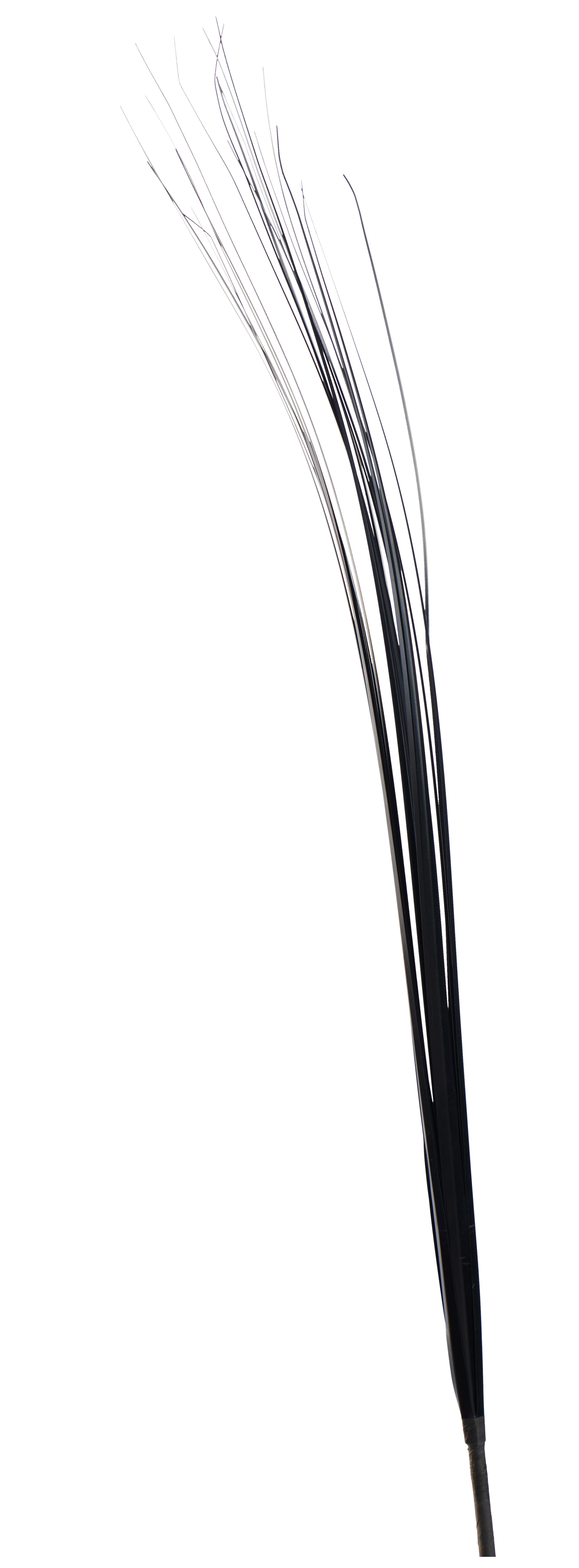 Kunstpflanze Graszweig Schwarz L: 85 Cm, Aglaia - Schwarz, Basics, Kunststoff (85cm)