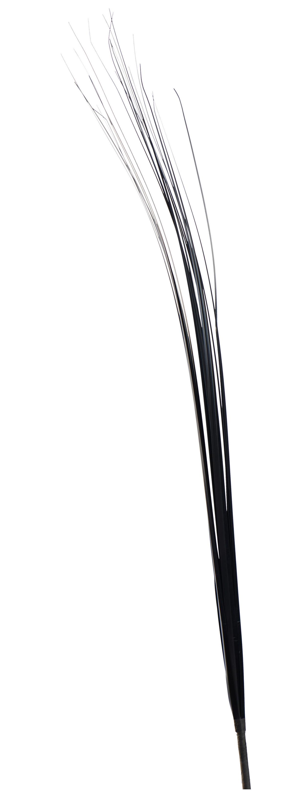 Kunstpflanze Graszweig Schwarz L: 85 Cm, Aglaia - Schwarz, Basics, Kunststoff (85cm)