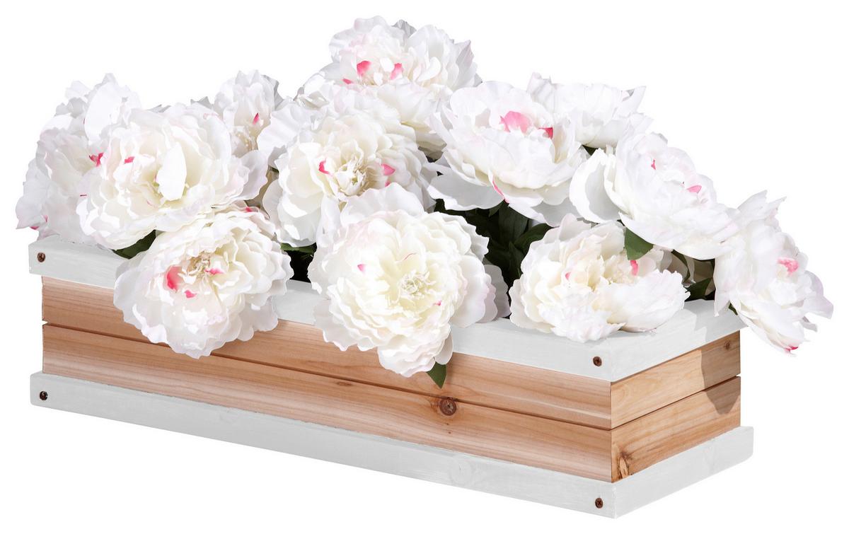 Kinder-Gartenset A031.006.01 - Braun/Weiß, KONVENTIONELL, Holz (54/11,5/19cm) - Ambia Garden