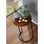 Beistelltisch Akola D: ca. 28 cm - Sheeshamfarben/Schwarz, Design, Holz/Metall (28/28/45cm) - Carryhome Beistelltisch Akola D: ca. 28 cm - Sheeshamfarben/Schwarz, Design, Holz/Metall (28/28/45cm) - Carryhome